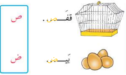 قفص - بيض